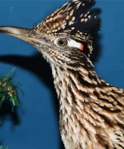 Chaparral Roadrunner Head diamond painting