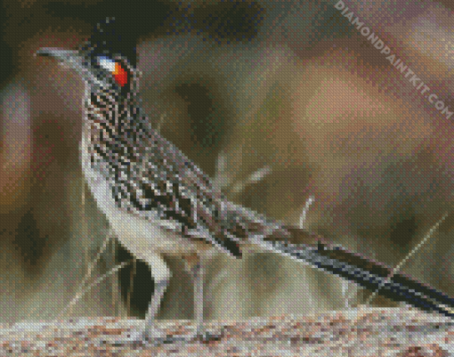 Chaparral Roadrunner diamond painting