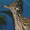 Chaparral Roadrunner Head diamond painting