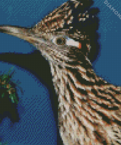 Chaparral Roadrunner Head diamond painting