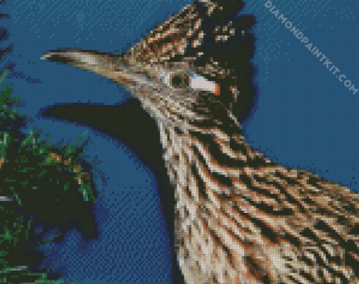 Chaparral Roadrunner Head diamond painting