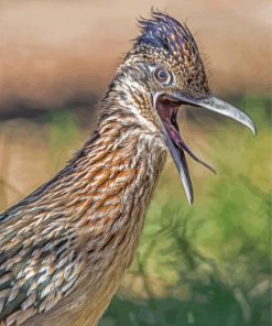 Close Up Roadrunner Bird diamond painting