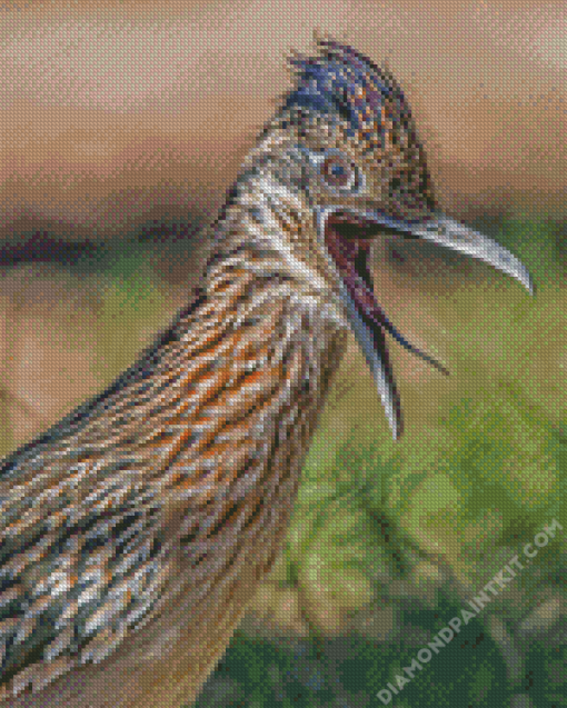 Close Up Roadrunner Bird diamond painting