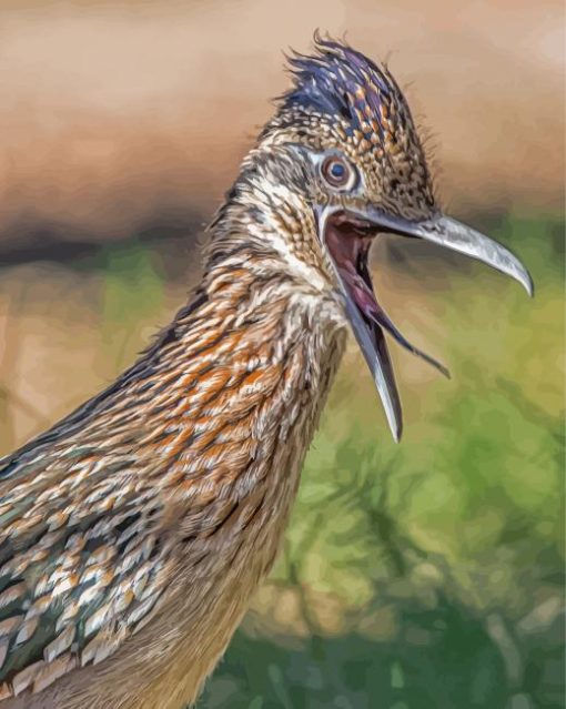 Close Up Roadrunner Bird diamond painting