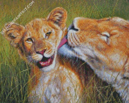 Cute Lions diamond painting