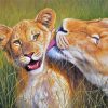 Cute Lions diamond painting