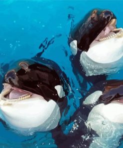 Cute Orcas diamond painting