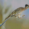 Flying Roadrunner diamond painting