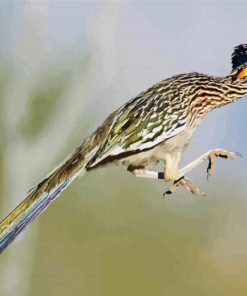 Flying Roadrunner diamond painting