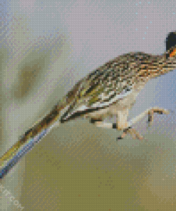 Flying Roadrunner diamond painting