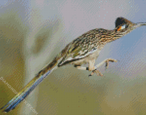 Flying Roadrunner diamond painting