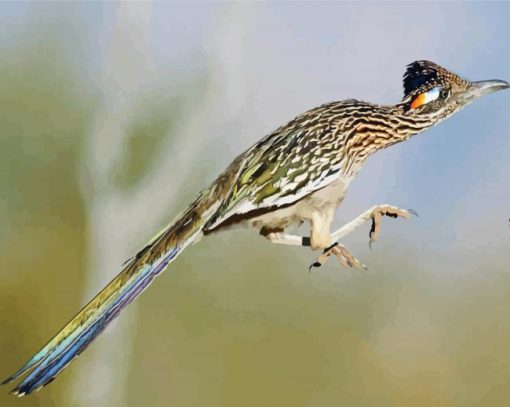 Flying Roadrunner diamond painting