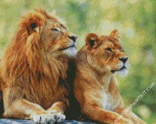 Lion And Lioness diamond painting