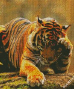 Lonely Tiger diamond painting