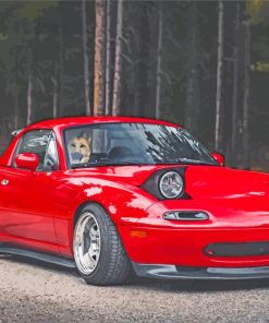 Red Miata Car diamond painting