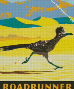 Roadrunner Bird Poster diamond painting