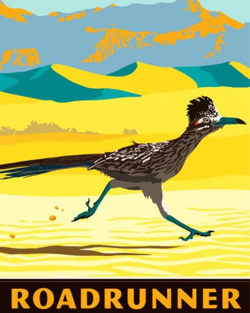 Roadrunner Bird Poster diamond painting