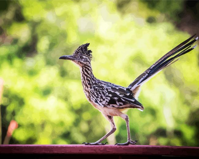 Road Runner Bird Animal diamond painting