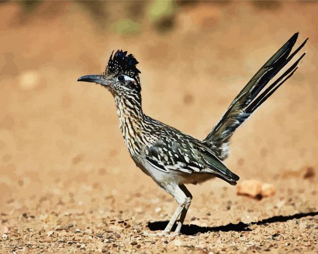 Road Runner Bird diamond painting