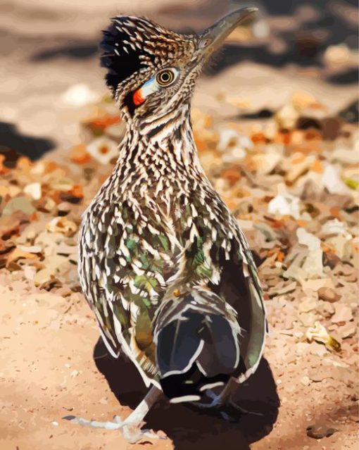 Road Runner diamond painting