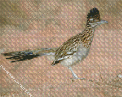 Road Runner In The Desert diamond painting