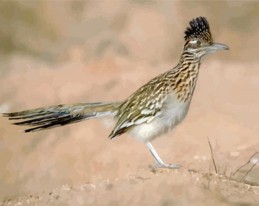 Road Runner In The Desert diamond painting