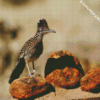 Roadrunner Bird diamond painting