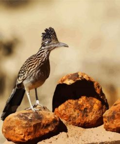 Roadrunner Bird diamond painting