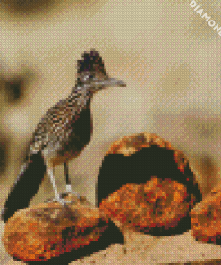 Roadrunner Bird diamond painting