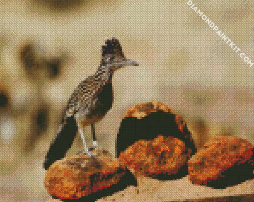 Roadrunner Bird diamond painting