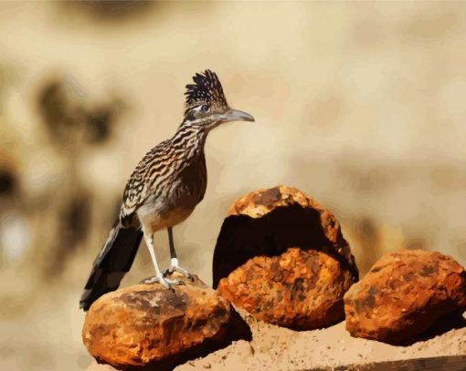 Roadrunner Bird diamond painting