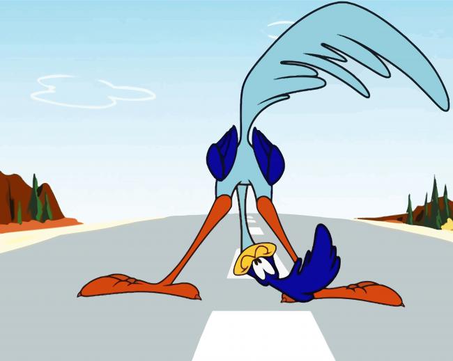 Roadrunner Cartoon diamond painting