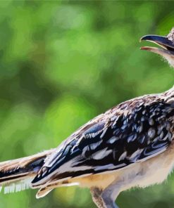 Roadrunner diamond painting