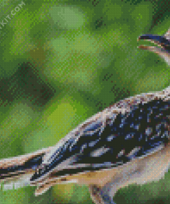 Roadrunner diamond painting