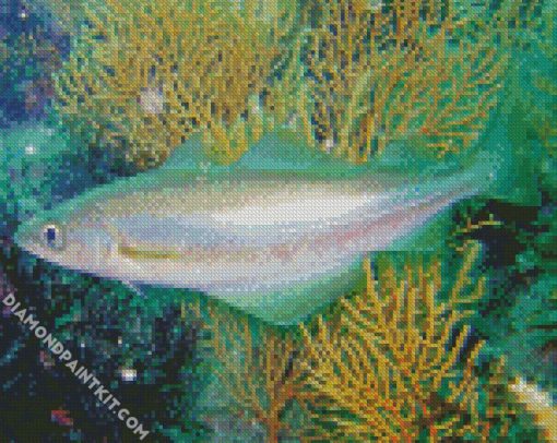 The Pollocks Fish diamond painting