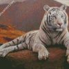 White Tiger diamond painting