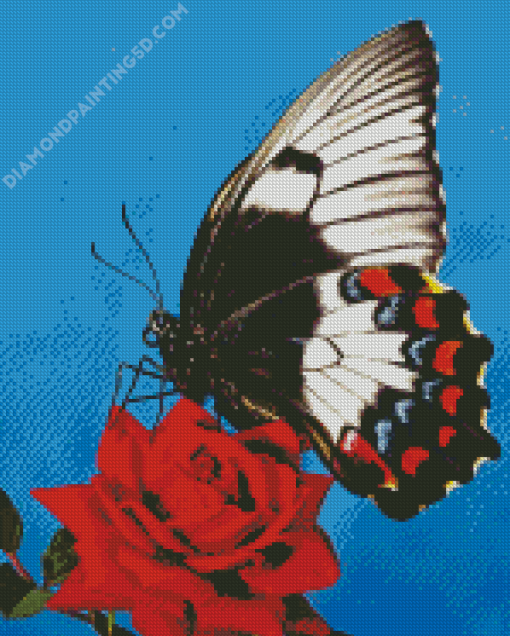 Butterfly Rose Diamond Paintings