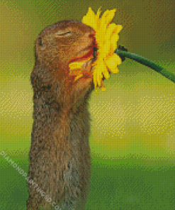 Gopher Smelling Flower Diamond Paintings