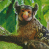 Marmoset Diamond Paintings