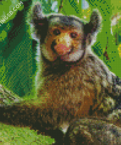 Marmoset Diamond Paintings