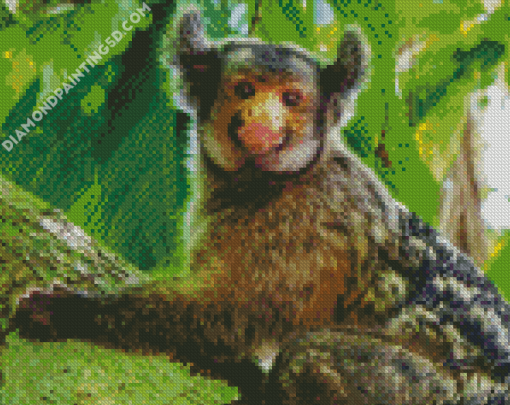 Marmoset Diamond Paintings