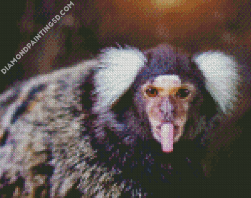 Marmoset Animal Diamond Paintings