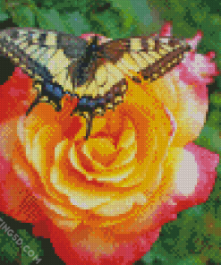 Aesthetic Butterfly Rose Diamond Paintings