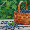 Aesthetic Cassis Basket Diamond Paintings