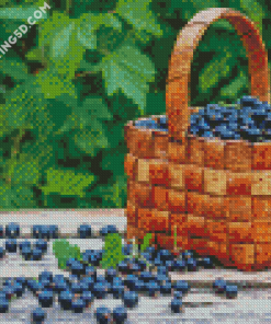 Aesthetic Cassis Basket Diamond Paintings