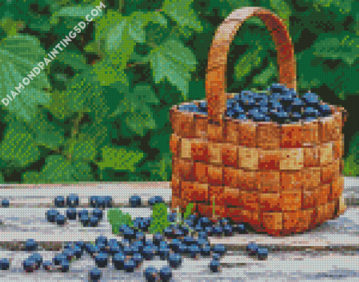 Aesthetic Cassis Basket Diamond Paintings