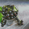 Aesthetic Cassis Fruit Diamond Paintings