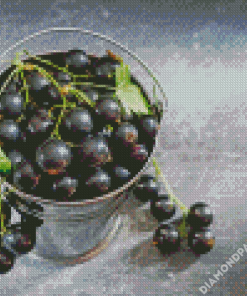 Aesthetic Cassis Fruit Diamond Paintings