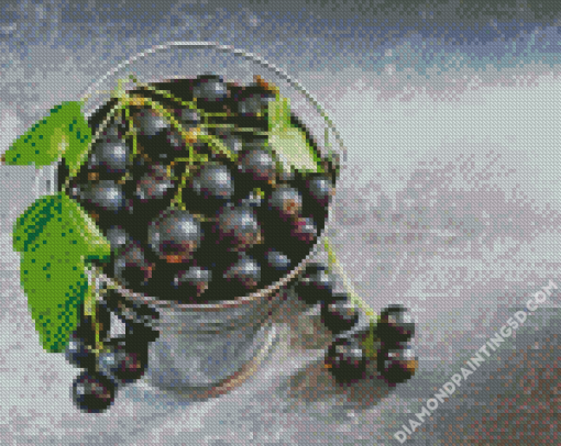 Aesthetic Cassis Fruit Diamond Paintings