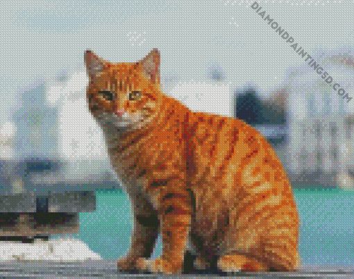 Aesthetic Orange Tabby Cat Diamond Paintings